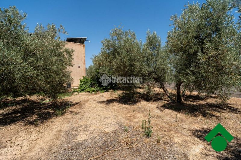 Foto 5e7bb991-d0f3-41f4-8752-4b0d3cc20d3d. Finca rústica terrenos en venta en Santa Fe