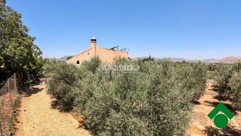 Foto 99589dc4-3ecc-451b-9e78-d7df6d627fe4. Finca rústica terrenos en venta en Santa Fe