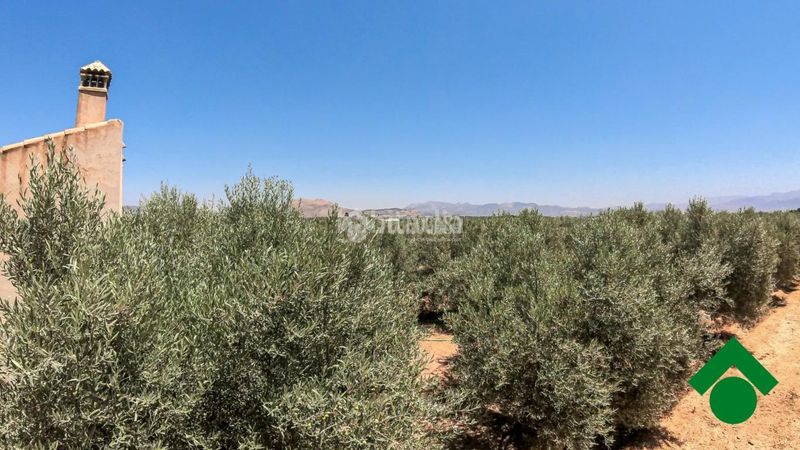 Foto abd4b2f3-6217-4a30-a4de-2fc55a44a8be. Finca rústica terrenos en venta en Santa Fe