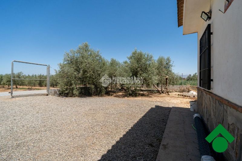 Foto b0d7e520-5a46-4180-b184-dfb60cb8b33a. Finca rústica terrenos en venta en Santa Fe