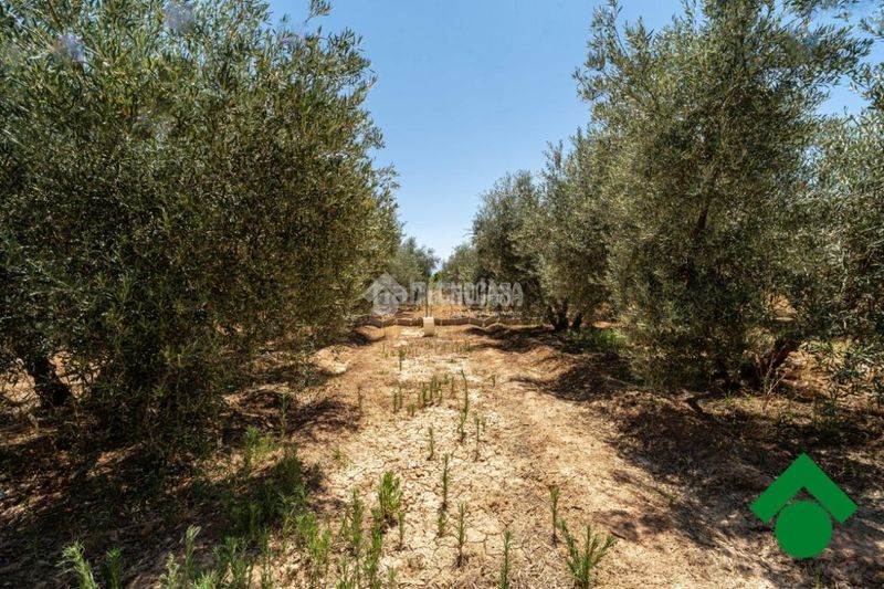 Foto b1807e82-6ff7-400c-8858-cbc9efd1446c. Finca rústica terrenos en venta en Santa Fe