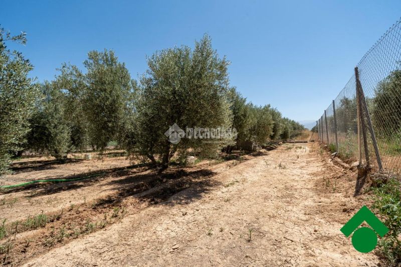 Foto b438d852-ba90-48d1-a9ff-fbd5b6605bd8. Finca rústica terrenos en venta en Santa Fe
