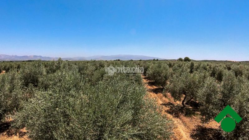 Foto d6380c59-bc53-4334-bb1d-5a2970b770b1. Finca rústica terrenos en venta en Santa Fe