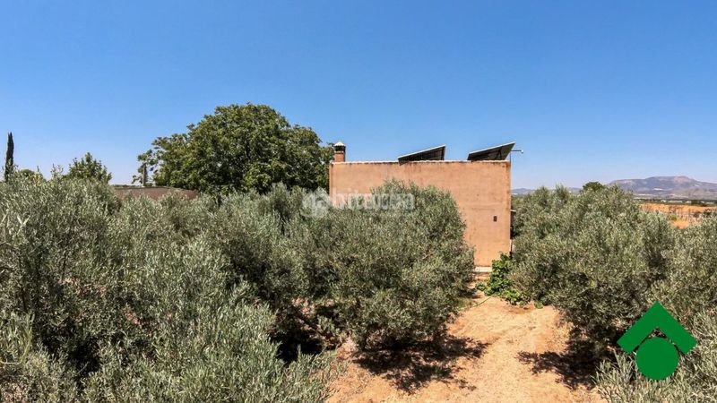 Foto f38f57fd-1ba2-4f71-9cab-45ee56c4a1f6. Finca rústica terrenos en venta en Santa Fe