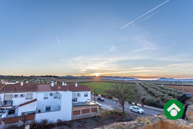 Foto 52de522a-0ce8-41b3-a46c-5430055a7a85. Pis a Moraleda de Zafayona