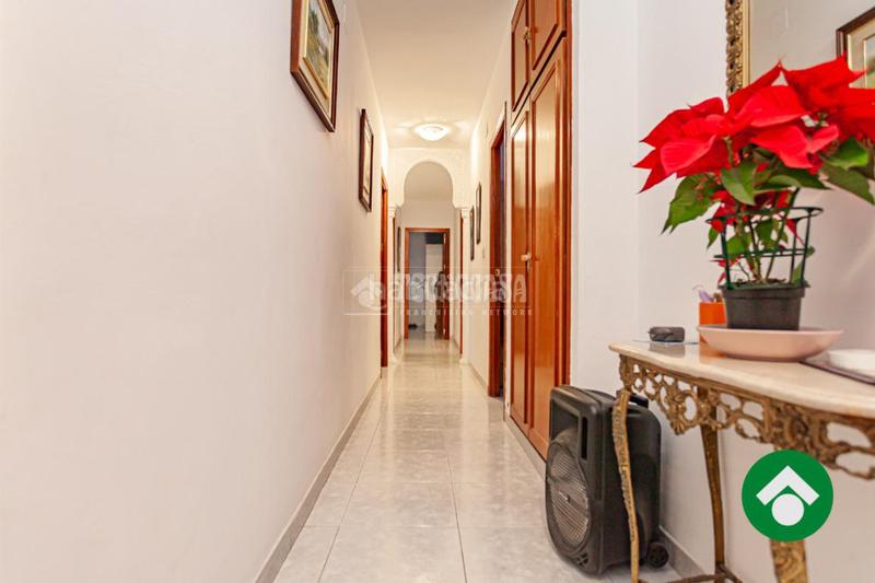 Foto 92982bd4-afaf-4d14-a6c8-570322a6323a. Pis a Moraleda de Zafayona