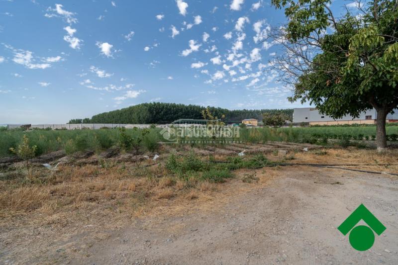 Foto 119bce96-24be-4af0-bd5b-03761d0ee6f9. Masía casa rural en venta en santa fe en Fuente Vaqueros