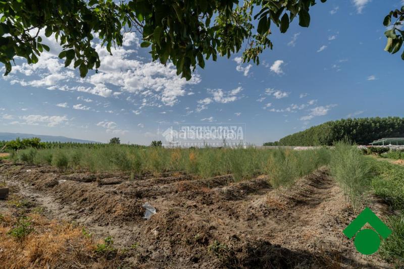 Foto d27cf052-a16e-4bc1-b3e8-8df82f86d419. Masía casa rural en venta en santa fe en Fuente Vaqueros