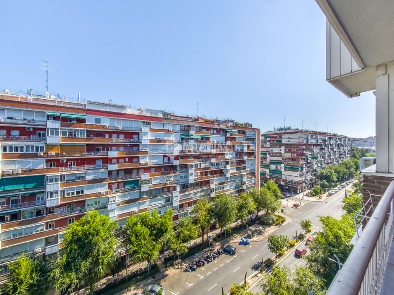 Foto f2f8b3ec-4ec9-48f4-bafd-1130c185989f. Pis a Concepción Madrid
