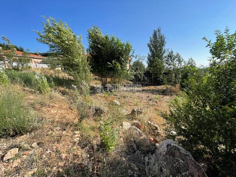 Foto 0257aceb-e62c-4925-974b-ab9c2f8606d9. Terreno residencial terrenos en venta en Chiloeches