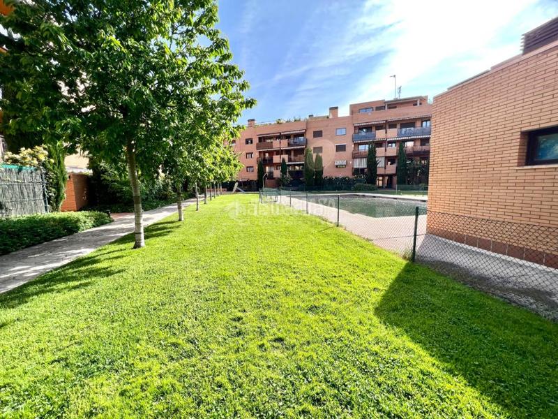 Foto e3d3ca2e-be6c-4eb8-ac39-16ee7e2febd3. Pis a Yebes - valdeluz Yebes