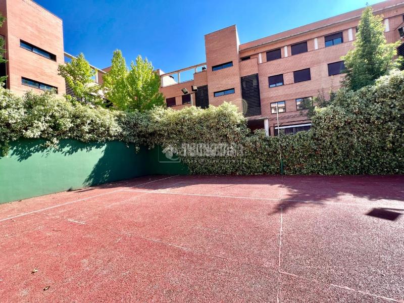 Foto 98cd3631-0de0-4c33-bbc3-cb64603897f8. Pis a Yebes - valdeluz Yebes