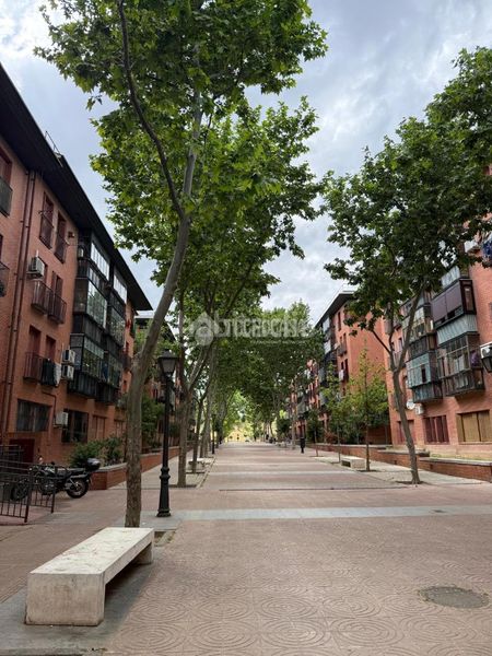 Foto 0556fa3a-3e2f-4eb8-9fd6-a0b46cd25858. Pis a San Isidro Madrid