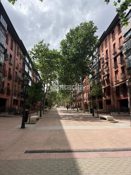 Foto 3a9beb90-1689-4c55-a9e9-2246c49f2f00. Pis a San Isidro Madrid