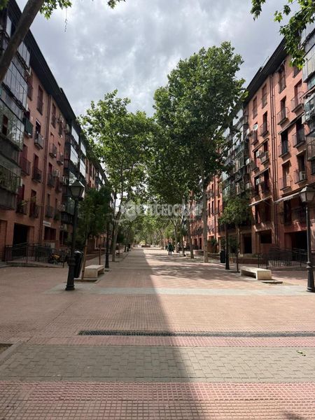 Foto 6c76fdfd-1d79-4031-9a9e-bae86f8f6278. Pis a San Isidro Madrid