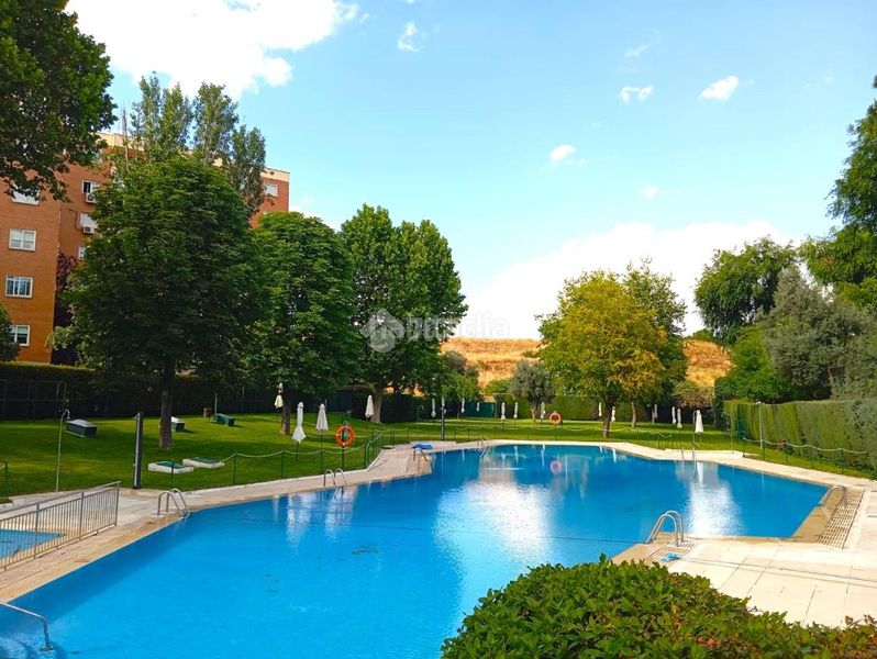 Foto 322bd492-f92f-4ced-9d96-3f945ede920f. Pis amb calefacció aparcament piscina a Alameda de Osuna Madrid