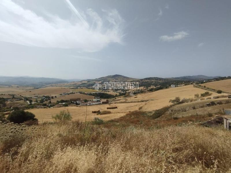 Foto dadd2287-4bcc-446e-88a1-2cff456c1ec7. Masia a Villanueva De La Concepción