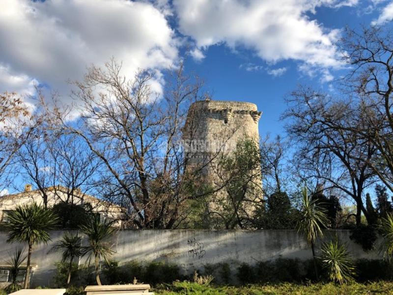 Foto 5cb87ca1-1b7f-4006-ab18-c3459dbd009e. Location local commercial dans Centro-Ayuntamiento Pinto