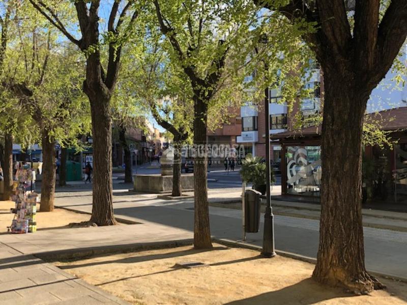 Foto b0cfa117-1452-406e-9a62-eeaffff5a9f5. Miete geschäftsraum in Centro-Ayuntamiento Pinto