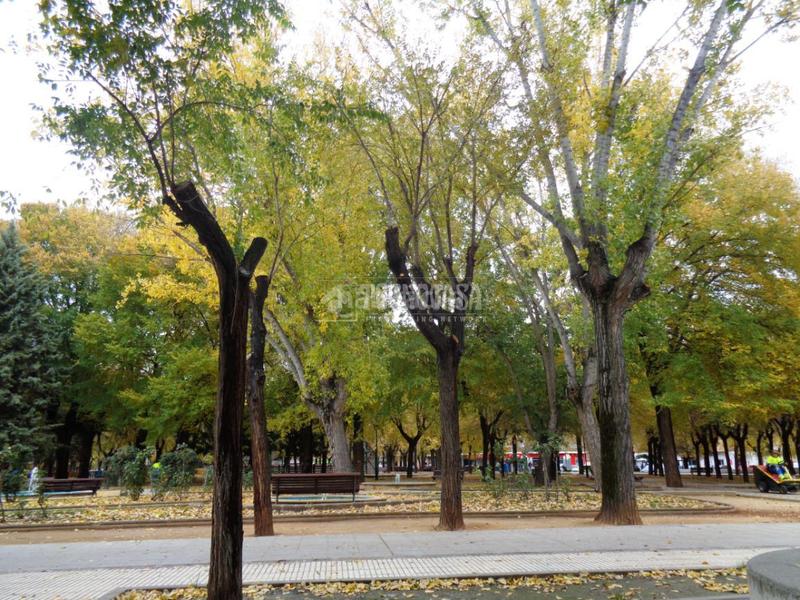 Foto fec59d61-ebca-49c4-bb20-5f35dfde1e0e. Piso  en venta en Centro-Ayuntamiento Pinto
