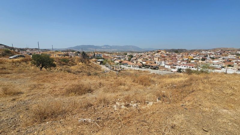 Foto 3b6be589-60c6-46a8-8c9e-88539384d1cc. Terreny residencial a Fuente Alegre - El Chaparral - Los Morales Málaga