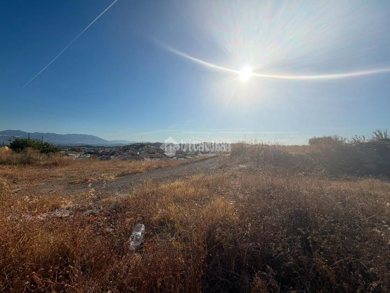 Foto ba22e569-5e80-4dcf-9d70-af055cc11d1e. Terreny residencial a Fuente Alegre - El Chaparral - Los Morales Málaga
