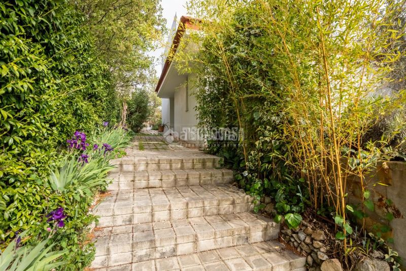 Foto 46bd55ee-26e1-4eb8-8381-3d9be27b9823. Casa amb calefacció aparcament piscina a Colonia Torrelodones