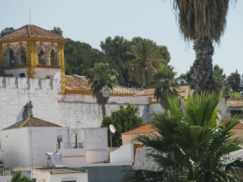 Foto c326ab41-8ad2-44b1-8f22-82bb71a716fb. Maison jumelée dans Castilleja de Guzmán