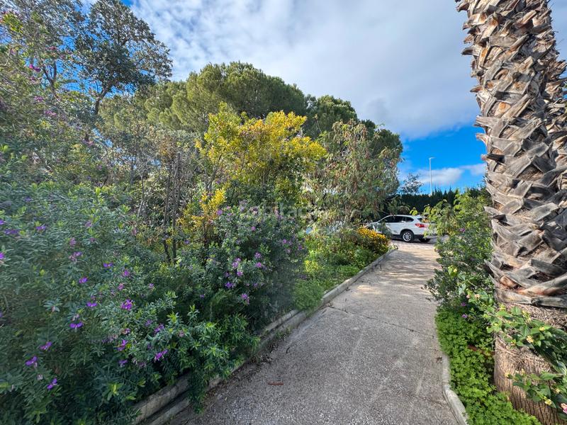 Foto ca24ae38-1eae-49b4-8e34-1a95d2580a8f. Xalet a calle alozaina 137 a Pinos de Alhaurín Alhaurín de la Torre