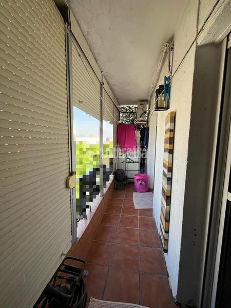 Foto 7e54c879-efdd-4795-84da-6bbe276d1c43. Piso  en venta en Cruz Roja Sevilla