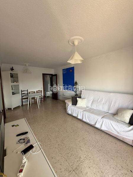 Foto 4856e6a1-62d9-43f8-91e4-0f3fafcad089. Pis a Villegas Sevilla