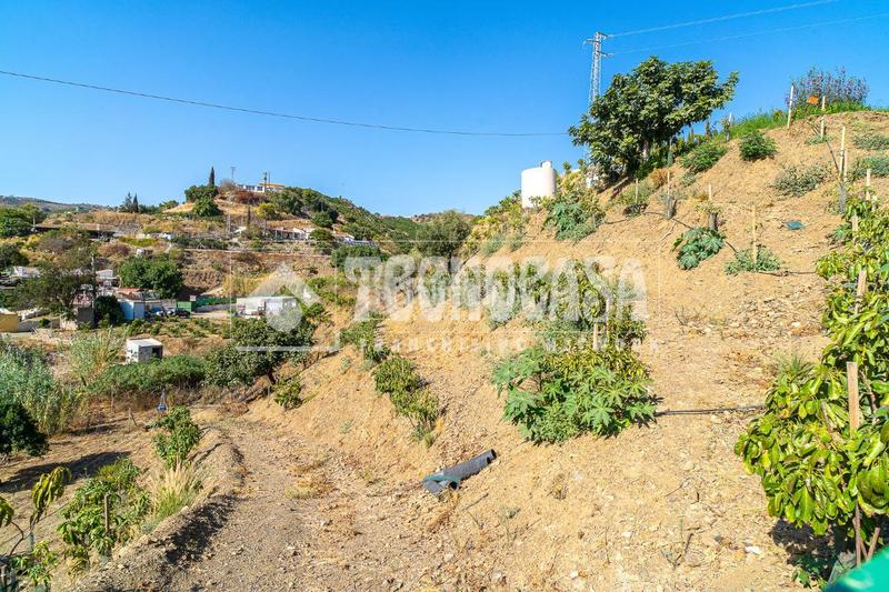 Foto 6428603b-9c8c-4682-9b3b-1b346cf37ed2. Masia a Camino Viejo de Málaga Vélez - Málaga