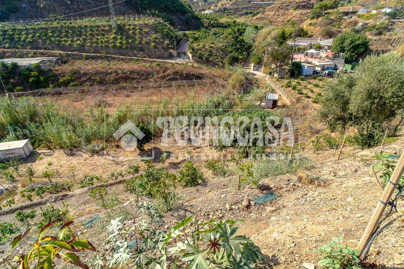Foto 8eb9c977-f959-4eb4-baac-8d21bcb4975c. Masia a Camino Viejo de Málaga Vélez - Málaga
