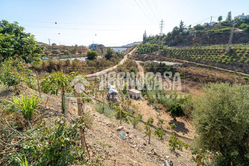 Foto 98f8791d-5df9-4c2b-ab40-accd65b0935f. Masia a Camino Viejo de Málaga Vélez - Málaga