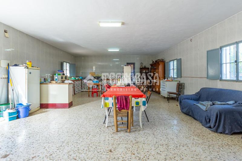 Foto 4e9109c2-1a9f-4776-8563-fc545eccc491. Masía casa rural en venta en vélezmálaga en Norte - Barrio del Pilar - El Reñidero Vélez - Málaga