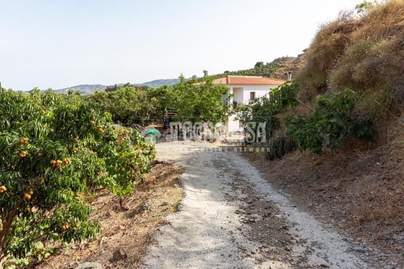 Foto b4295cca-5341-43a0-9cca-6983a1f5a39e. Masía casa rural en venta en vélezmálaga en Norte - Barrio del Pilar - El Reñidero Vélez - Málaga