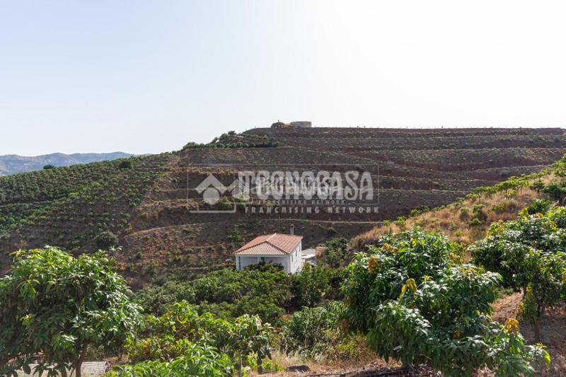 Foto d1bf9881-2bee-46b3-9659-b30d181ad845. Masía casa rural en venta en vélezmálaga en Norte - Barrio del Pilar - El Reñidero Vélez - Málaga
