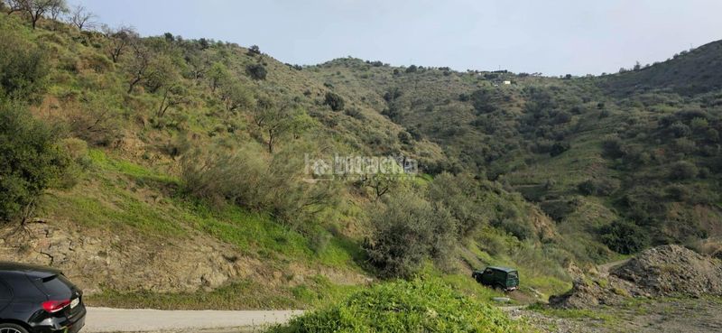 Foto 61a094d5-c37a-4359-8864-523832ba95e0. Finca rústica a Canillas de Aceituno