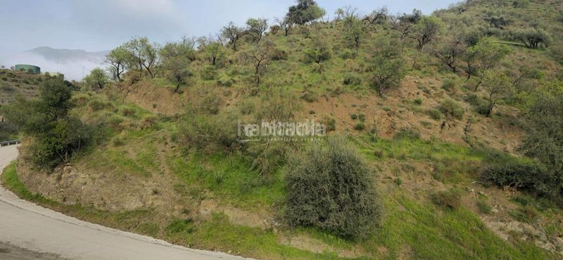 Foto e06d70ae-7126-4016-94f8-b3f4d950b510. Finca rústica a Canillas de Aceituno