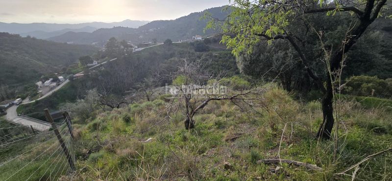 Foto eaa7a606-e6dc-4fcd-b0b1-d99067466ff5. Finca rústica a Canillas de Aceituno