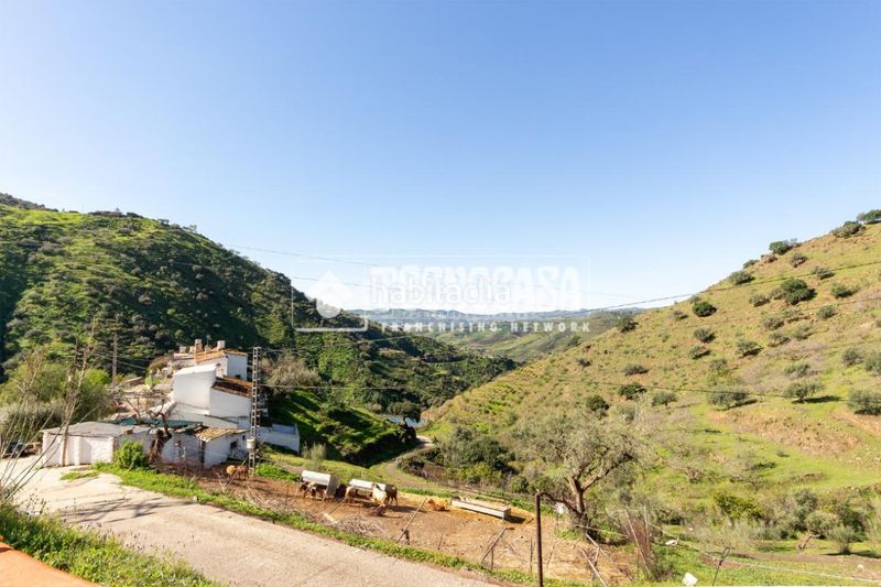 Foto 514f342d-53b3-4a83-9547-668d89559f25. Masia amb piscina a Campanillas Málaga