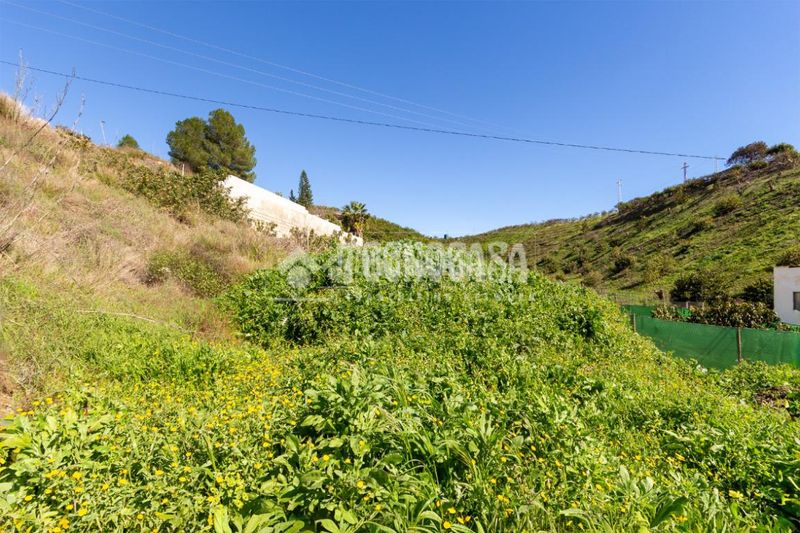 Foto 0214c87a-ebba-45d2-874b-f133423e179d. Finca rústica a Norte - Barrio del Pilar - El Reñidero Vélez - Málaga