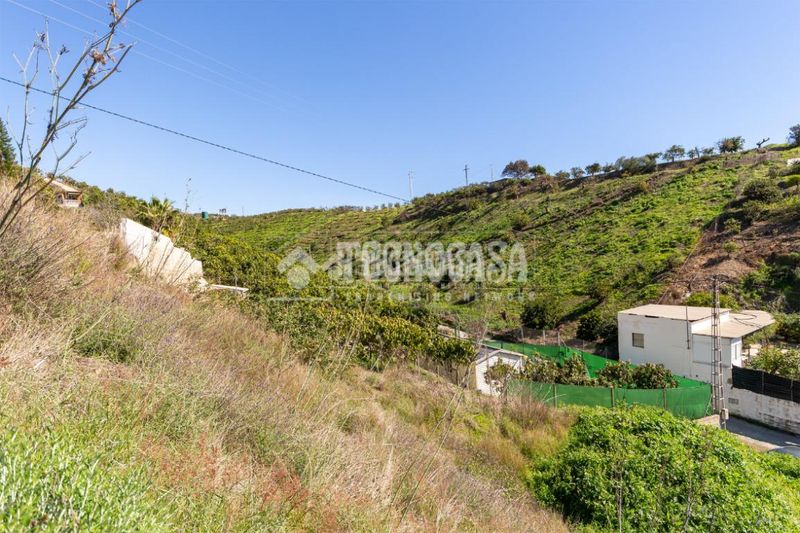 Foto 3d0e7acc-0ea1-4924-a6cc-52cf43e8dfc8. Finca rústica a Norte - Barrio del Pilar - El Reñidero Vélez - Málaga
