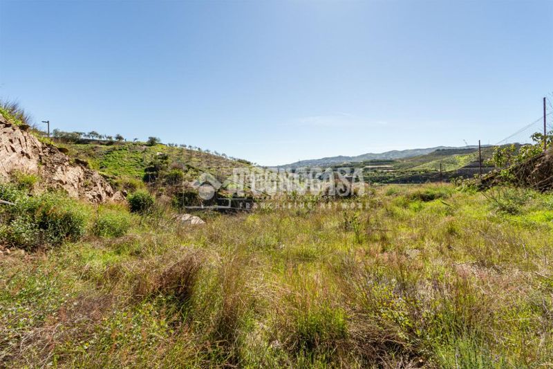 Foto 5a41c9a3-20cf-4f6a-8867-93092307ba39. Finca rústica a Norte - Barrio del Pilar - El Reñidero Vélez - Málaga