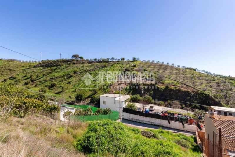 Foto 7910a8d9-37e3-4ff3-a324-4881396e7edb. Finca rústica a Norte - Barrio del Pilar - El Reñidero Vélez - Málaga
