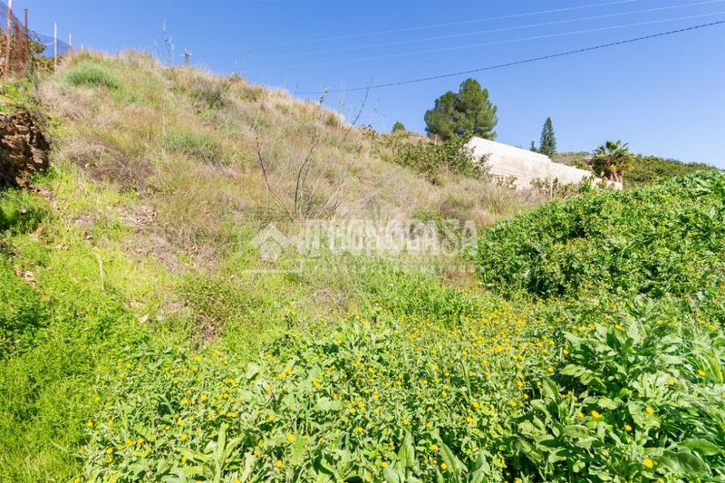 Foto 8762262e-b646-43b1-8ee7-28aed3434996. Finca rústica a Norte - Barrio del Pilar - El Reñidero Vélez - Málaga