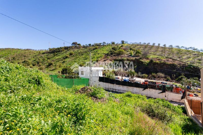 Foto b282dd4f-1a2d-4a93-9a8f-e6681609dc6d. Finca rústica a Norte - Barrio del Pilar - El Reñidero Vélez - Málaga