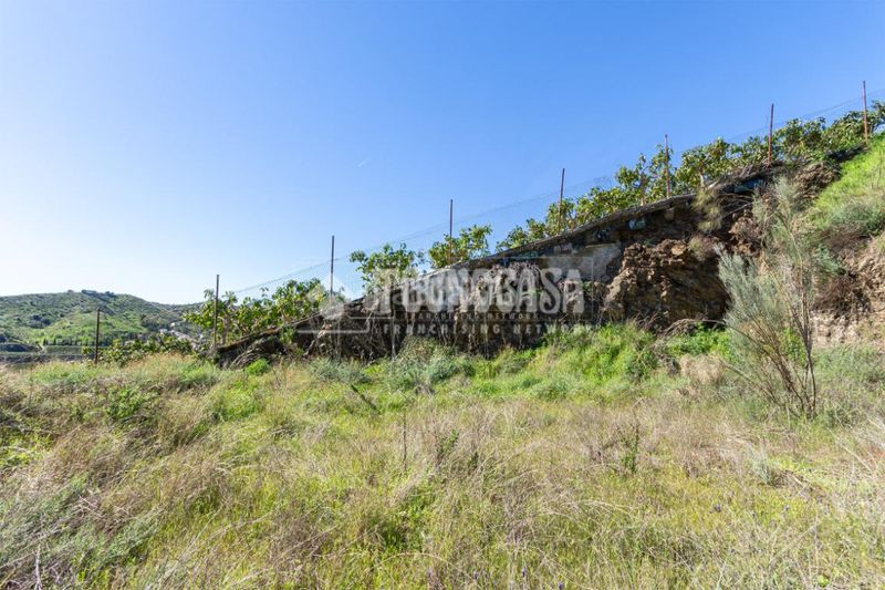Foto b7f646da-7e09-4403-a26b-0ffd28c70e3d. Finca rústica a Norte - Barrio del Pilar - El Reñidero Vélez - Málaga