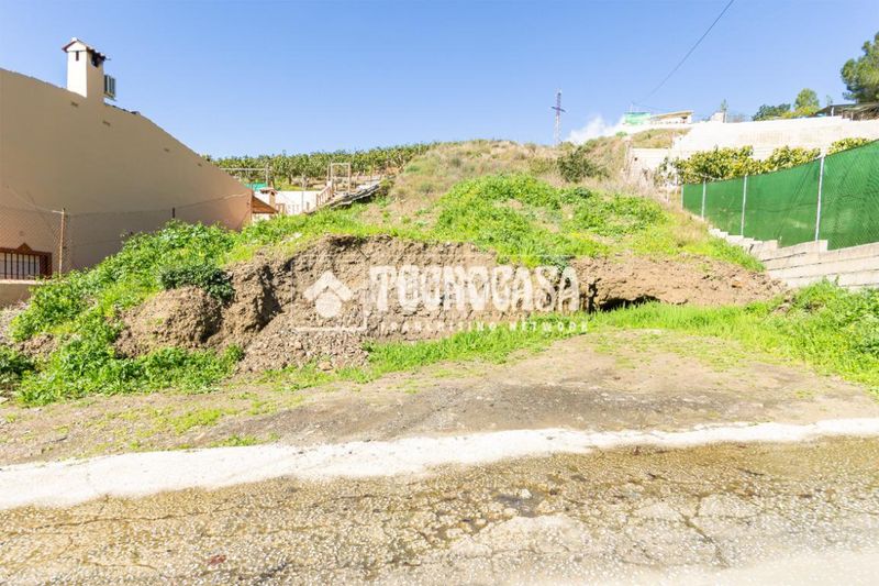Foto d9240c14-75db-45ab-b762-1221a066e945. Finca rústica a Norte - Barrio del Pilar - El Reñidero Vélez - Málaga