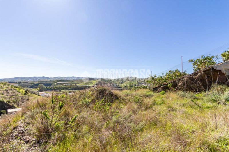 Foto e741c860-2d7f-42ed-bcc6-0d283083a67b. Finca rústica a Norte - Barrio del Pilar - El Reñidero Vélez - Málaga